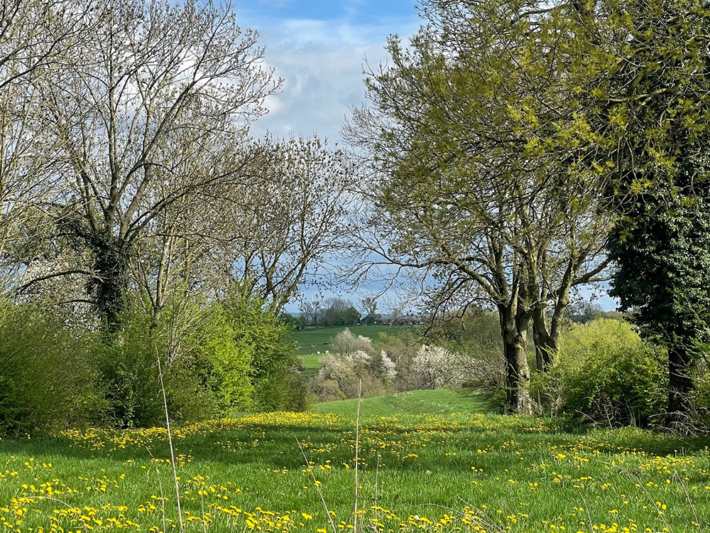 Kinkebahn Ausblick